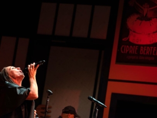 Siker volt a "Bartók éjszakája"  - fotó: 