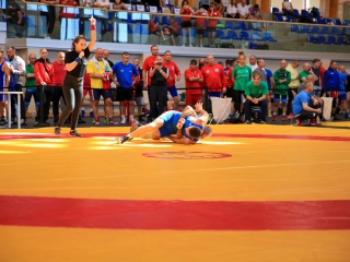 Jubileumi birkózó versenyek Rácalmáson - fotó: 