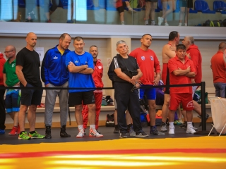 Jubileumi birkózó versenyek Rácalmáson - fotó: 