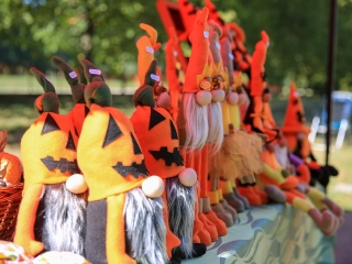 Őszköszöntő kincses kert - fotó: 