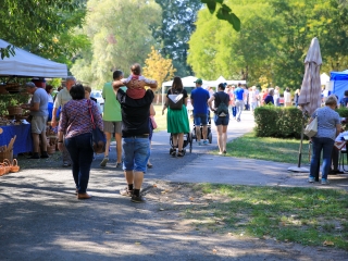 Őszköszöntő kincses kert - fotó: 