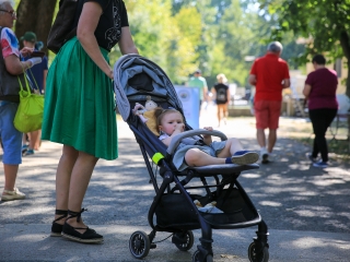 Őszköszöntő kincses kert - fotó: 