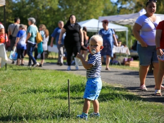 Őszköszöntő kincses kert - fotó: 