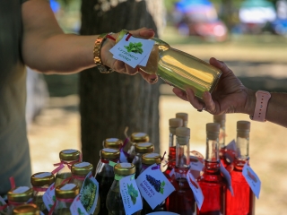 Őszköszöntő kincses kert - fotó: 