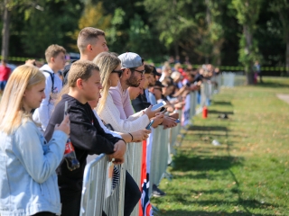 Bimmer Parádé az állatmentőknek - fotó: 