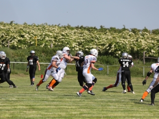 Gorillaz - Budapest Titans - fotó: Ónodi Zoltán