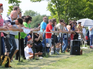 Gorillaz - Budapest Titans - fotó: Ónodi Zoltán