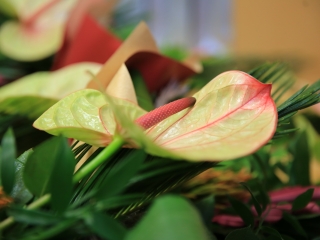 Sportolók köszöntése a Városházán - fotó: 