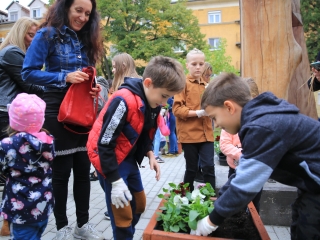 A zene világnapja a Sándor Frigyes Zeneiskolában - fotó: 