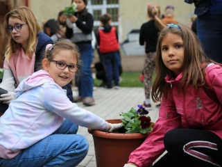 A zene világnapja a Sándor Frigyes Zeneiskolában - fotó: 