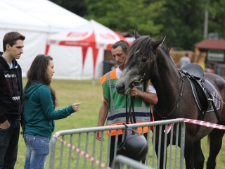 Családi Hétvége III.nap - Gyereknap - fotó: Ónodi Zoltán