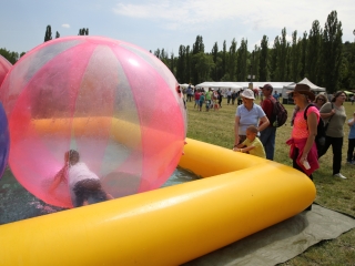 Családi Hétvége III.nap - Gyereknap - fotó: Ónodi Zoltán