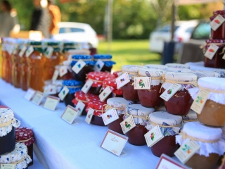 Dunai Kincses Kert – 2021 október - fotó: 