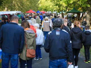 Dunai Kincses Kert – 2021 október - fotó: 