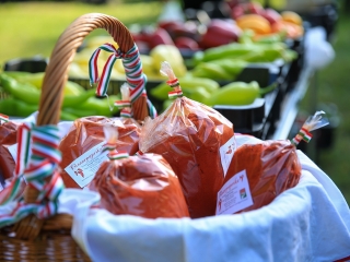 Dunai Kincses Kert – 2021 október - fotó: 