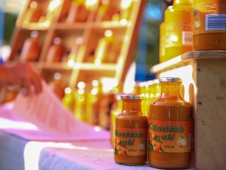 Dunai Kincses Kert – 2021 október - fotó: 