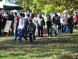 Dunai Kincses Kert – 2021 október - fotó: 