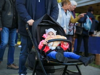 Dunai Kincses Kert – 2021 október - fotó: 