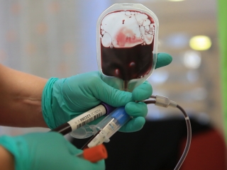 A Halloween véradás véresen komoly képei!  - fotó: 