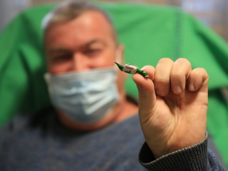 A Halloween véradás véresen komoly képei!  - fotó: 