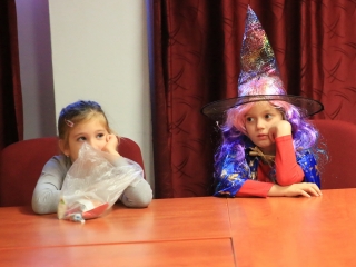 Boszitárbor az MMK-ban - fotó: 