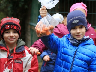 Természettudományi nap az arborétumban - fotó: 