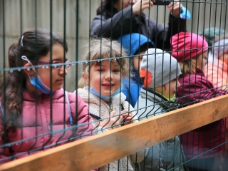 Természettudományi nap az arborétumban - fotó: 