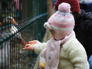 Természettudományi nap az arborétumban - fotó: 
