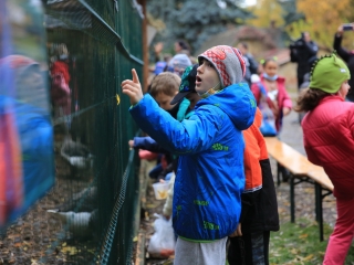 Természettudományi nap az arborétumban - fotó: 