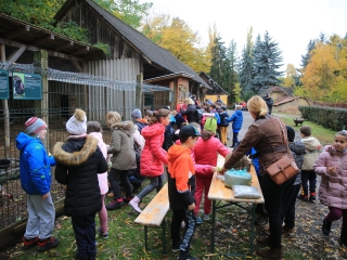 Természettudományi nap az arborétumban - fotó: 