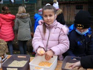 Természettudományi nap az arborétumban - fotó: 