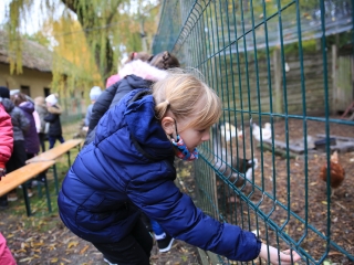 Természettudományi nap az arborétumban - fotó: 