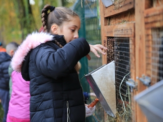 Természettudományi nap az arborétumban - fotó: 