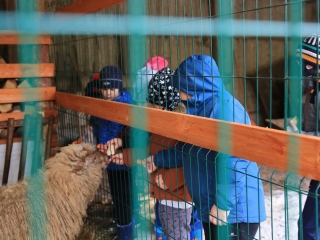 Természettudományi nap az arborétumban - fotó: 