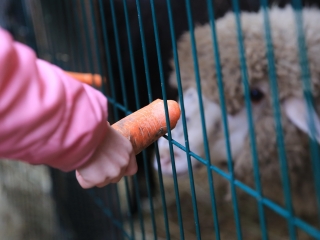 Természettudományi nap az arborétumban - fotó: 