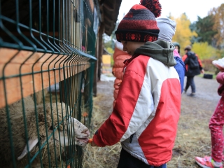 Természettudományi nap az arborétumban - fotó: 