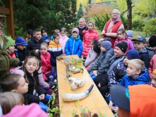 Természettudományi nap az arborétumban - fotó: 