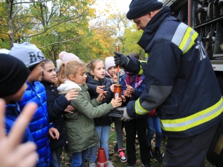 Pályaorientációs nap a Vasváriban - fotó: 