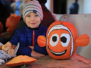 Tökfaragó verseny a Vasmű úton - fotó: 