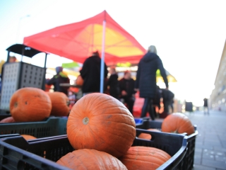 Tökfaragó verseny a Vasmű úton - fotó: 