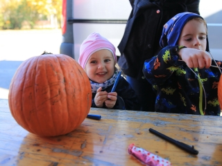 Tökfaragó verseny a Vasmű úton - fotó: 