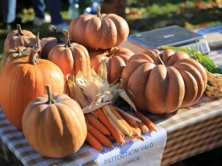 Mikulásváró kavalkád a Szalki-szigeten - fotó: 