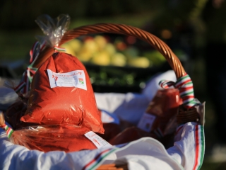 Mikulásváró kavalkád a Szalki-szigeten - fotó: 