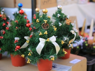 Mikulásváró kavalkád a Szalki-szigeten - fotó: 