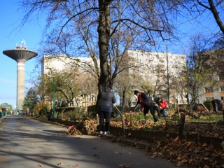 Levélszedés a város közterein - fotó: 
