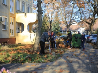 Levélszedés a város közterein - fotó: 