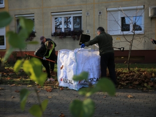 Levélszedés a város közterein - fotó: 