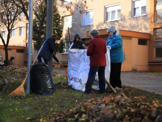 Levélszedés a város közterein - fotó: 