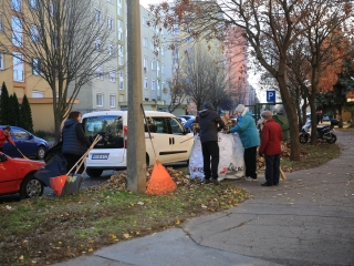 Levélszedés a város közterein - fotó: 
