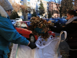 Levélszedés a város közterein - fotó: 
